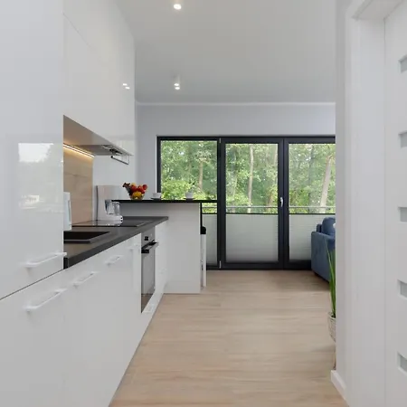 Little Laguna Sauna & Parking By Renters 4*